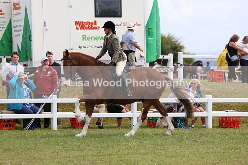 3E7A0601 - Rising Star Ridden Championship