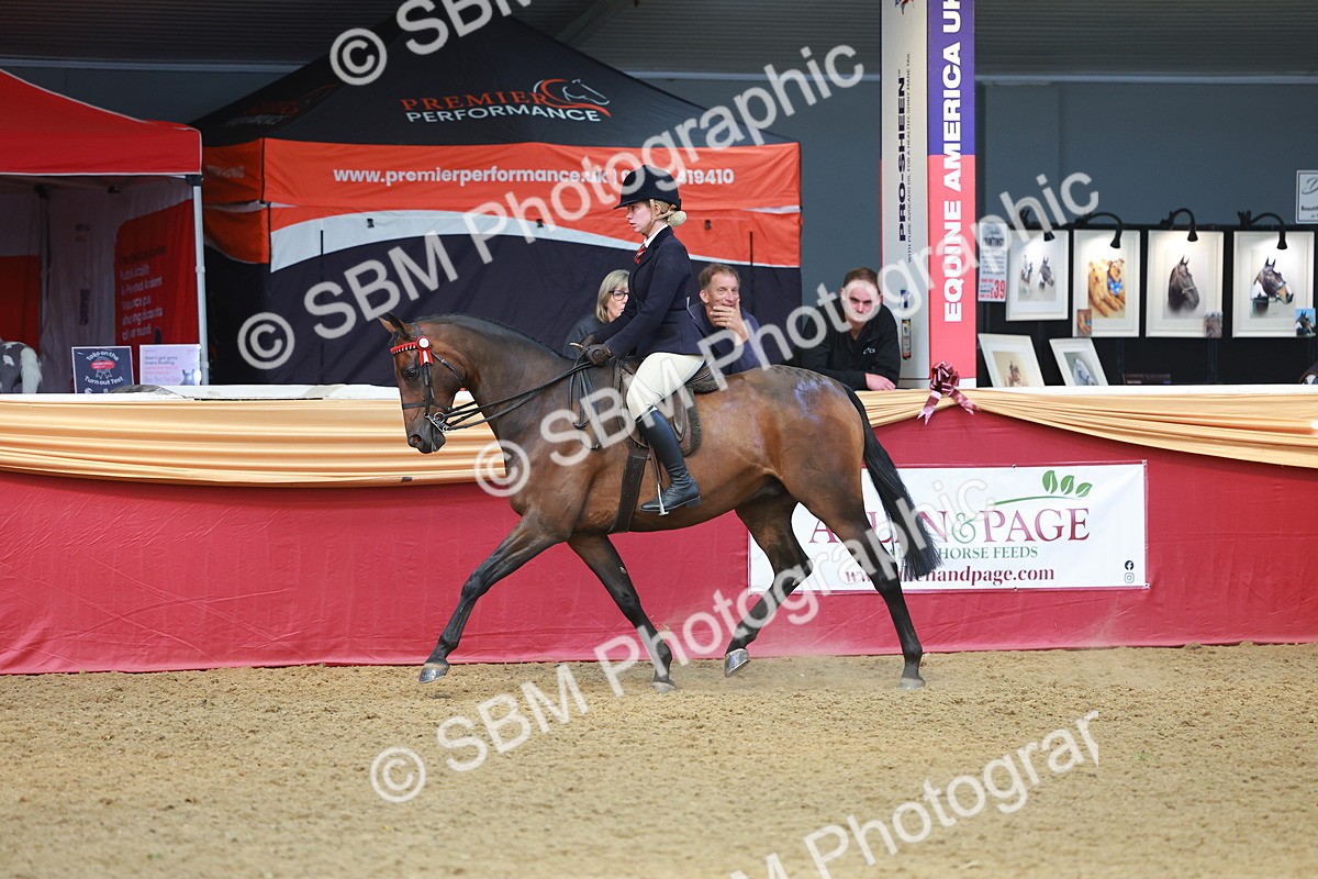 SBM_10625 - Class 103 - HOYS Veteran Qualifier - Ridden Pre Vet