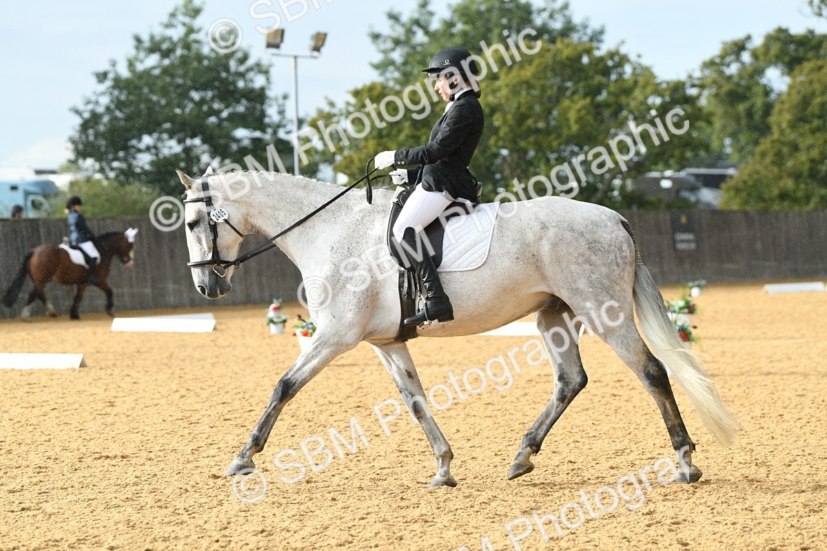 SBM_11154 - D28 Elementary Taster Elementary 42