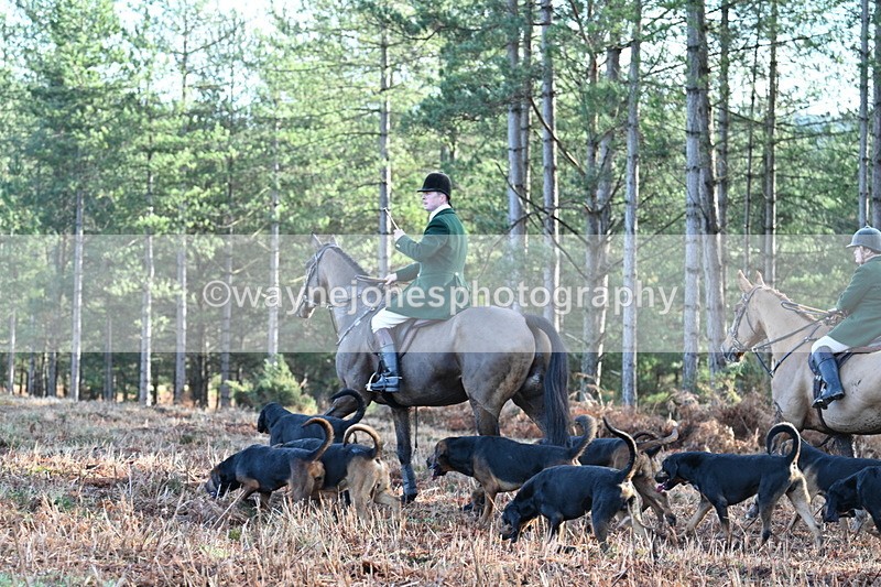 WJ7_7198 - Line 3 (no line 4 or 5)