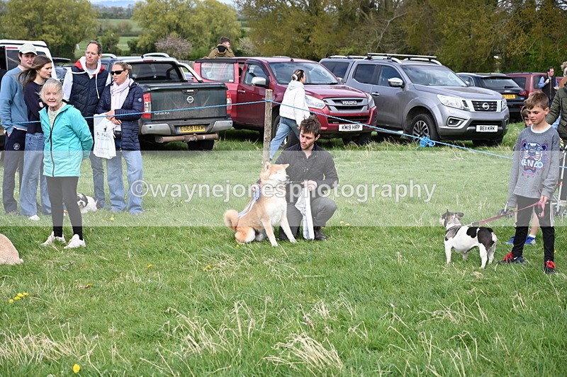 WJ6_8595 - Class 6 Best Rescue