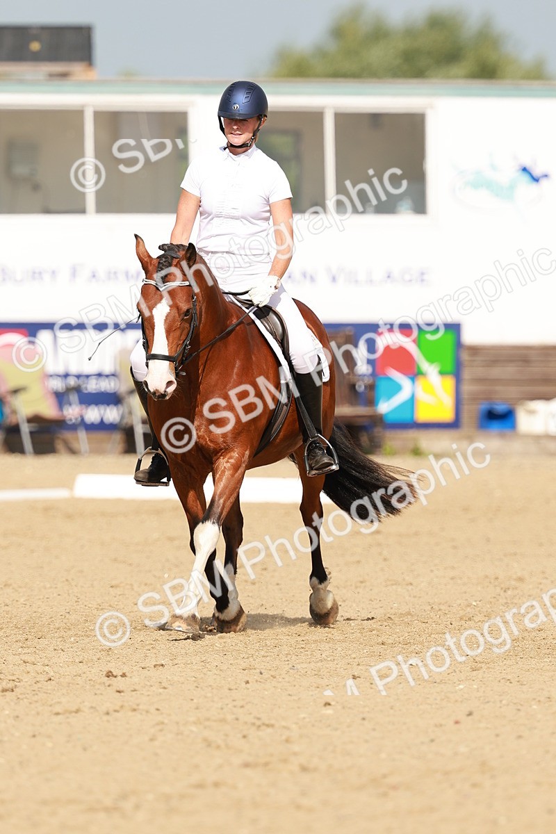 SBM_021319 - Class 13 - N5