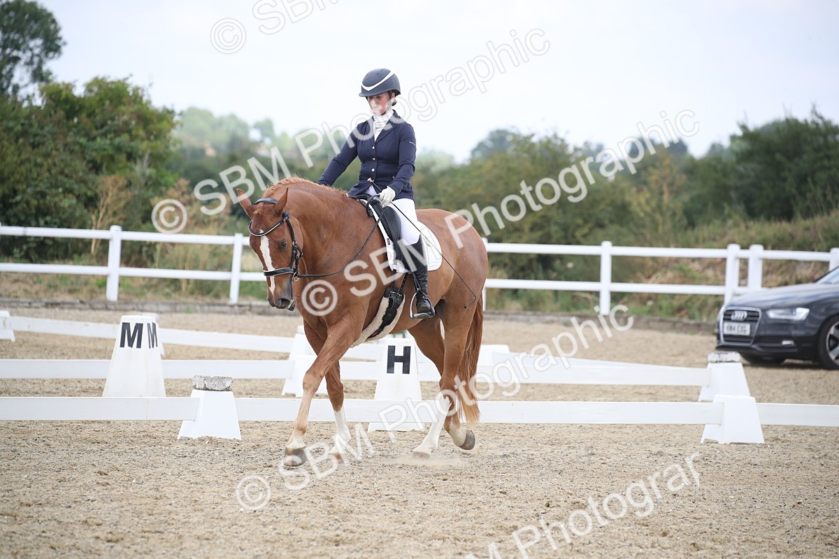 SBM_008919 - Novice 5 - 13.29-14.18