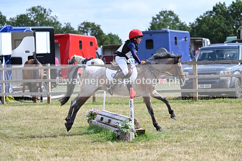 WJ7_0817 - 40cm Time 11:28 to 11:53