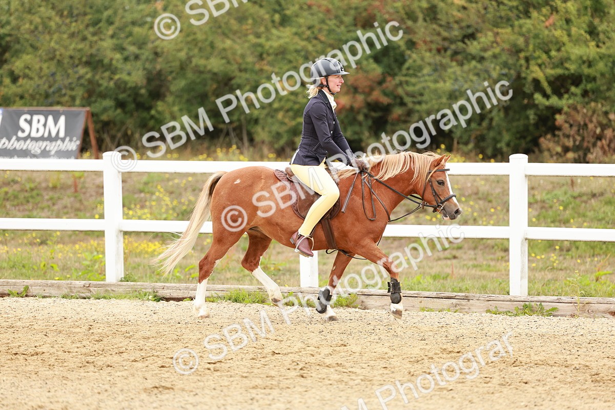 SBM_007479 - Class 2 - 50cm