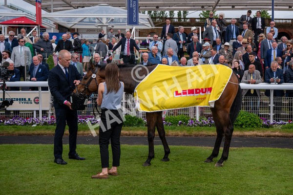 150525-American Affair-5333 - Race 1 2.10pm Lindum York Handicap