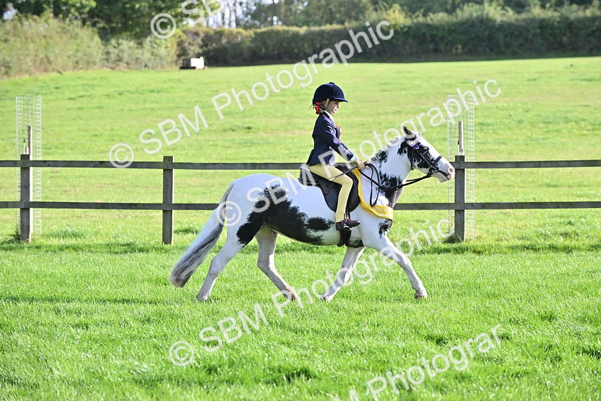 SBM_51292 - S22 - First Ridden show and show Hunter Pony