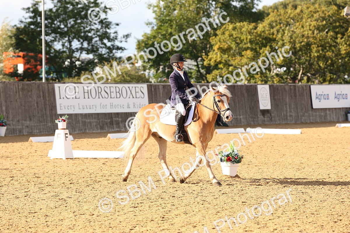 SBM_28208 - D20 - Grand Tour Championship Elementary 3