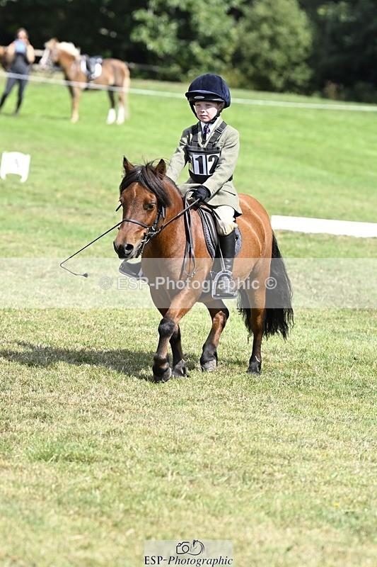 250822A-115728-22478 - DR 11.00 to 12.00