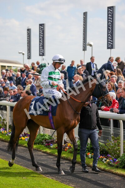 yr11052022r4-12 - Race 4 3.35pm Tattersalls Musidora Stakes