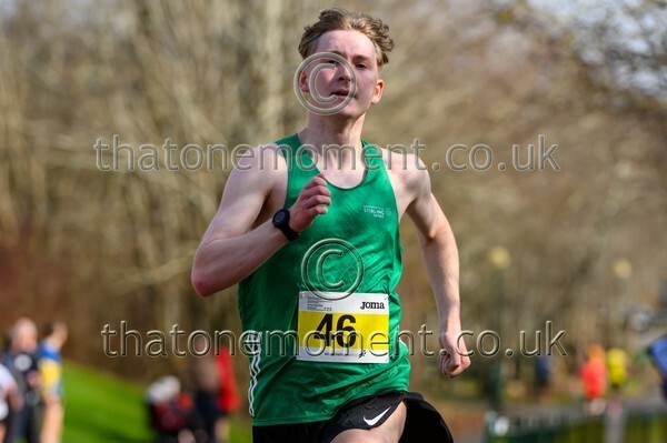 Livi26-929459 - Male Set Three