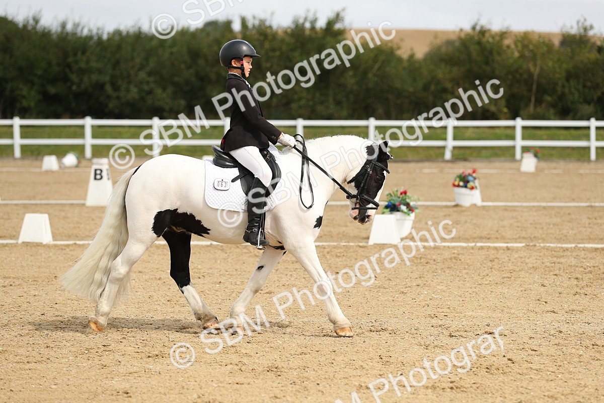 SBM_016334 - Class 13 - Novice 23 - 11.25-12.35