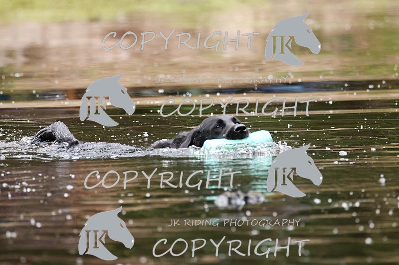 2R6A3518 - ​TEAM A: BORDER COUNTIES & COTSWOLDS 1-2-3