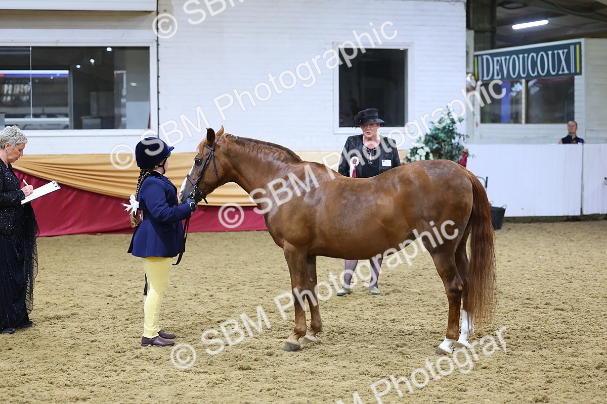 SBM_19696 - Class 901 - Supreme Final - IH Diamond