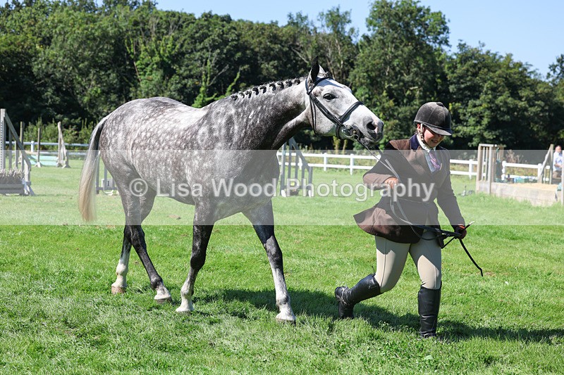 3E7A8469 - Class 4: Novice working Hunter