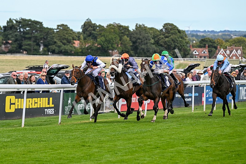 160926-Race 2-Northern Viola-9693 - Race 2 2.43pm Young Guns Nursery Handicap