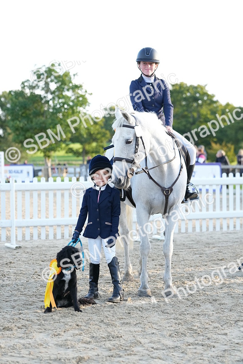 SBM_29534 - J44 - Horse & Hound Open 70cm