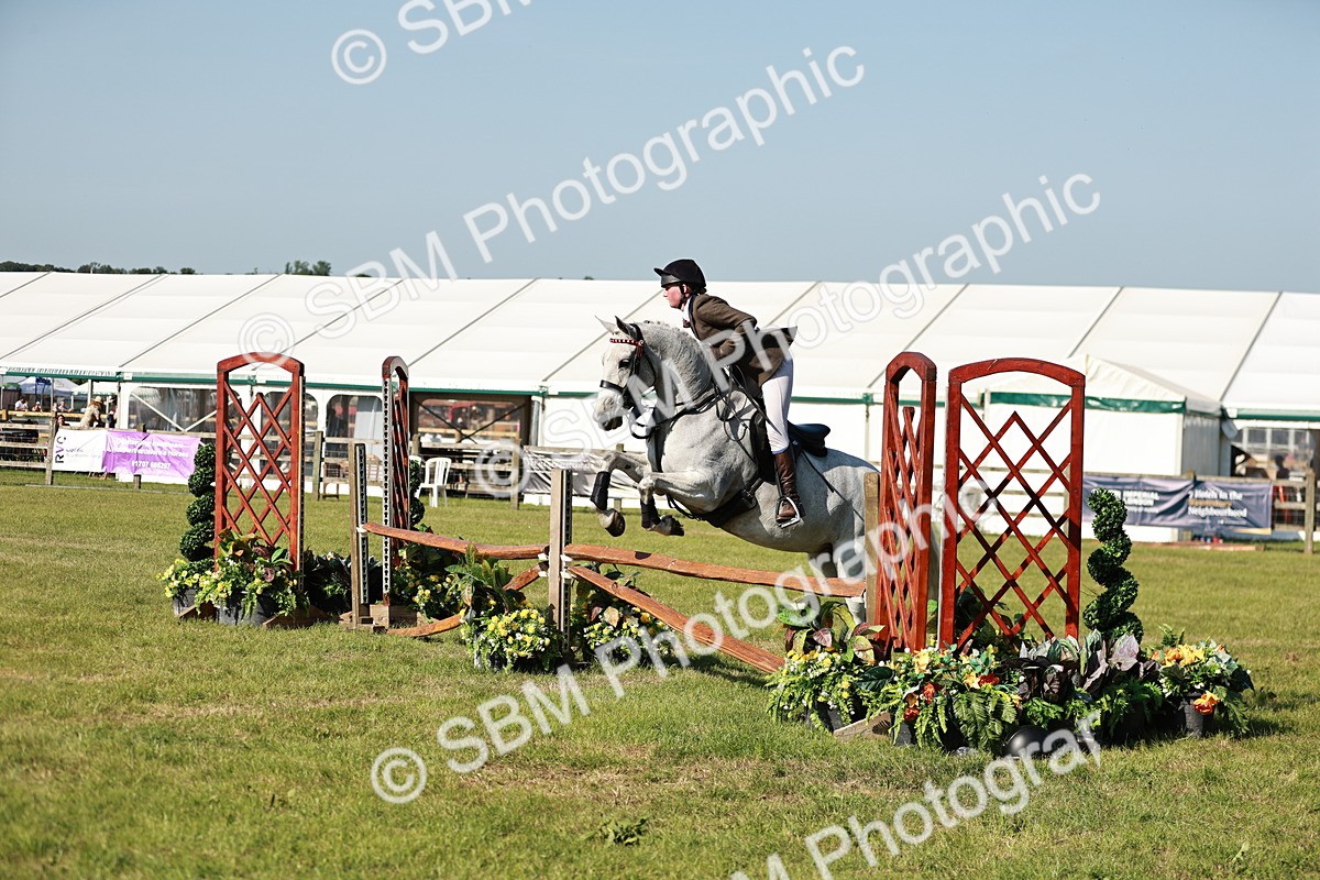 SBM_19175 - Class 115-116 - LIHS BSHA Rising Star Working Hunter & Show Horse
