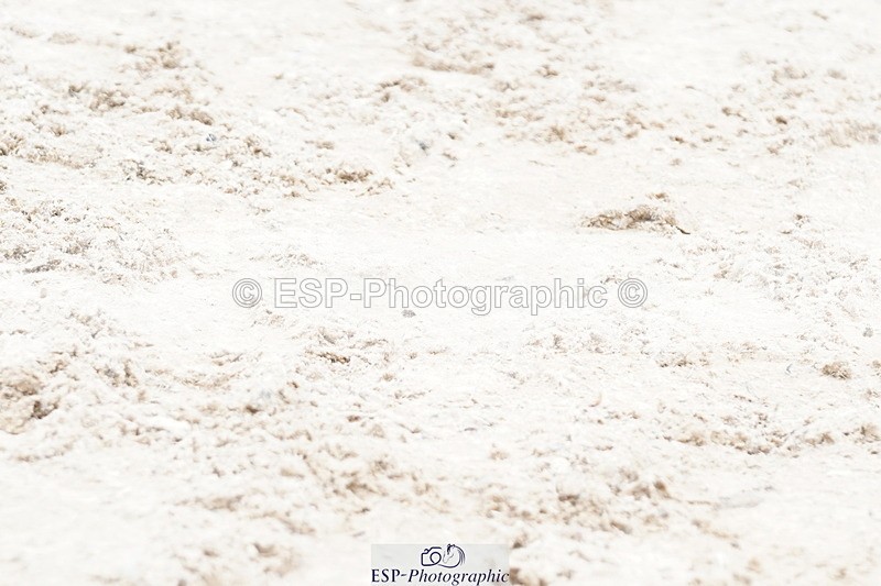 250420A-121952-00738 - Cls 03 80cm