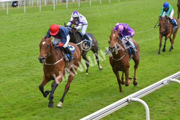 yr12062021r1-18 - Race 1 2.00pm Queen Mother's Cup