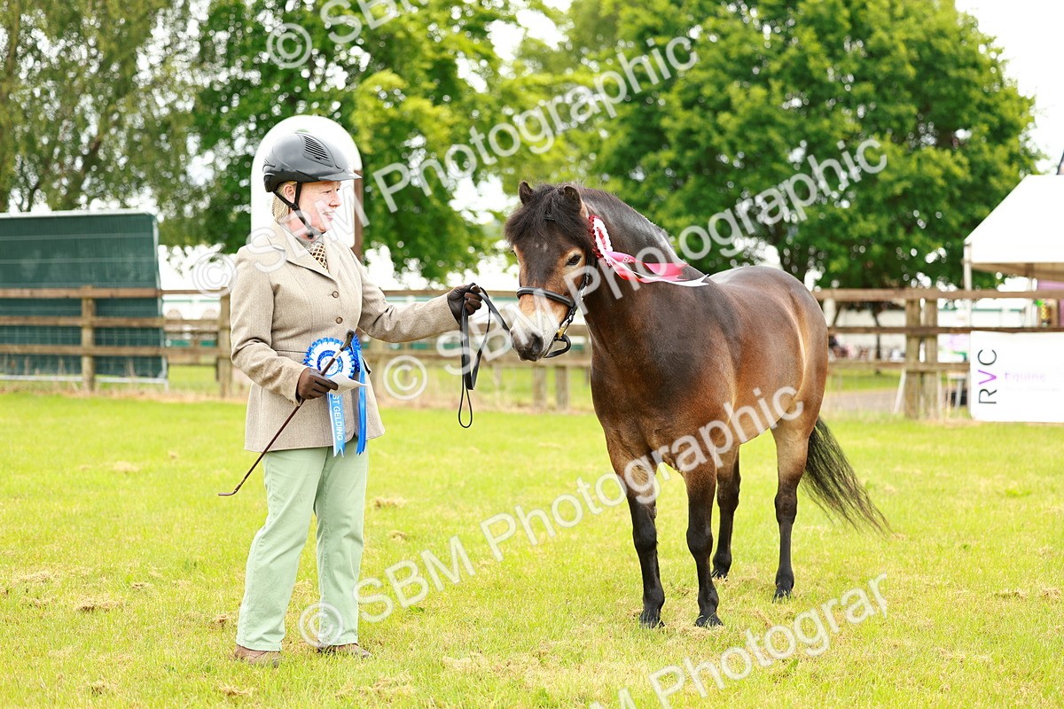 SBM_00322 - Class 58-67 - M&M Non Welsh Pony In hand