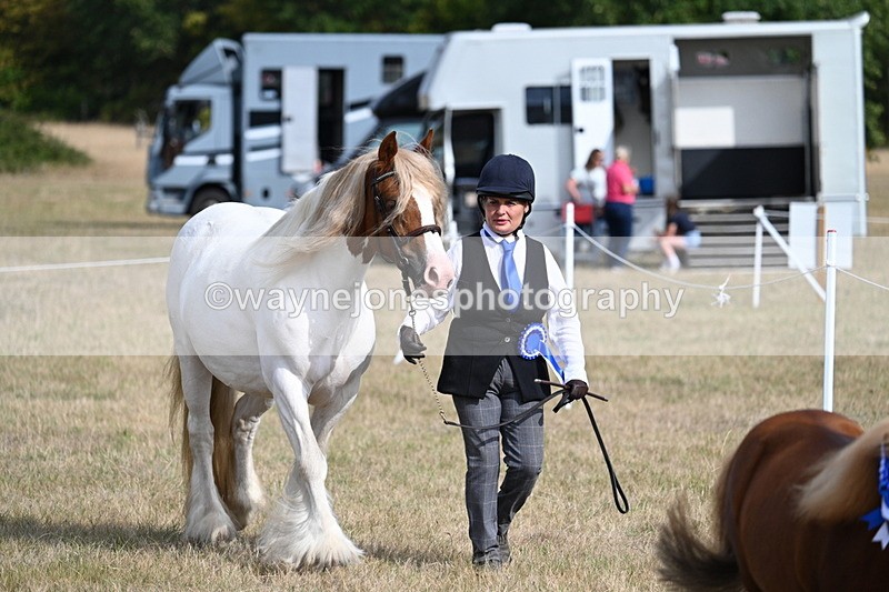 WJ7_8015 - In-hand Championship
