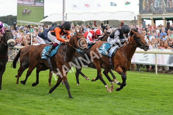 yr04092022r2-28 - Race 2 2.20pm John and Judith Marshall Memorial Stakes