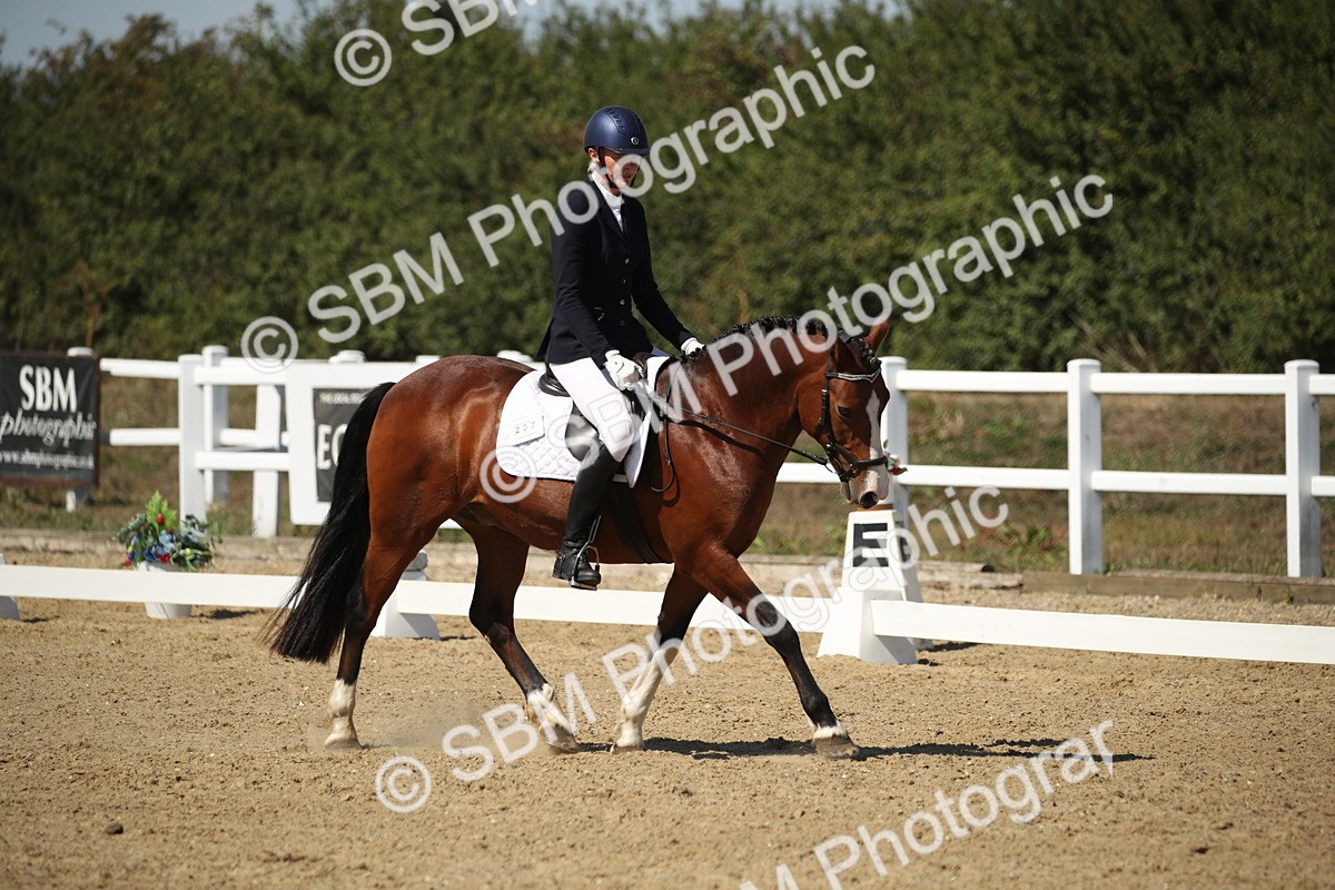 SBM_005785 - Class 11 - Novice 5 - 13.19-14.22