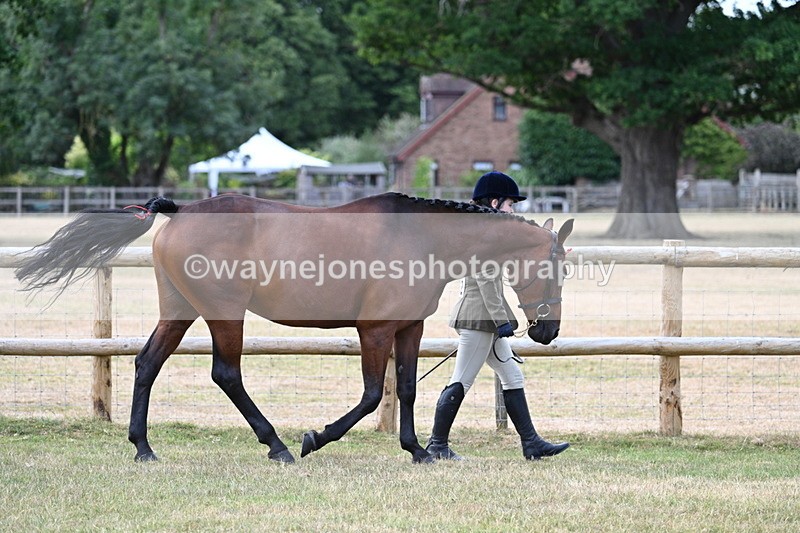 WJ7_1808 - Class 4a Prettiest Mare 14.2hh and over hand