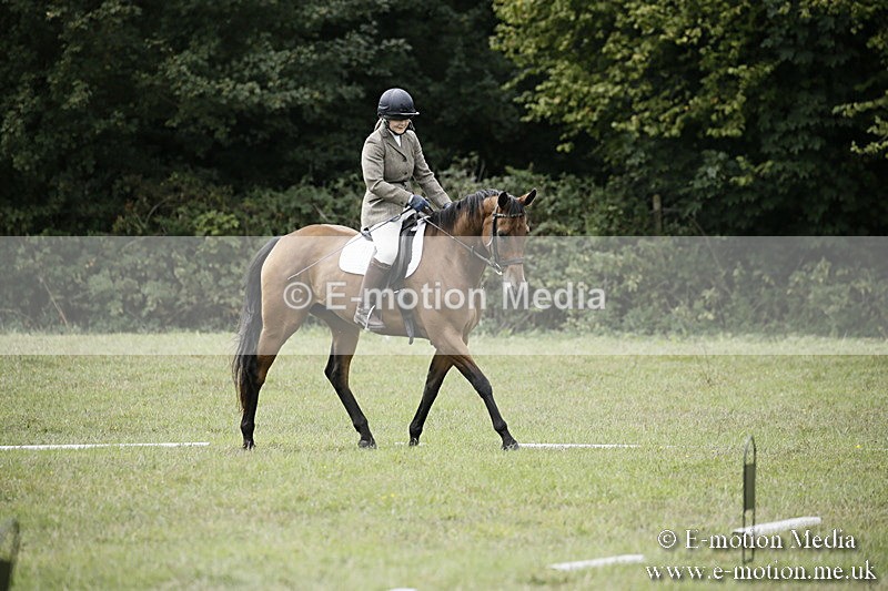 BVR080918 206 - BVRC Novice Dressage & CR 08/09/18