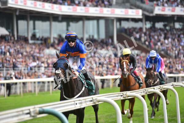 yr20082021r2-48 - Race 2 2.25pm Weatherbys Hamilton Lonsdale Cup (British Champion Series race)