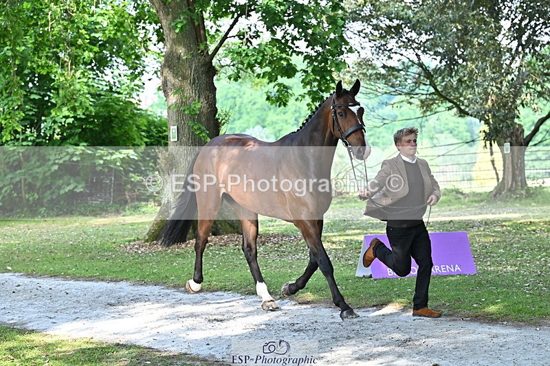 250521A-162946-01178 - C-226-Finn.Healy-KILBUNNY.CATCH.ME