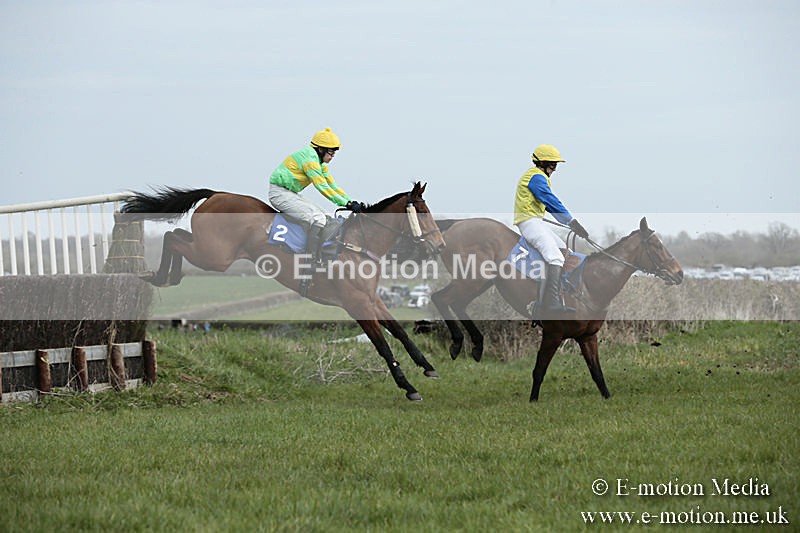 PtP 230319 22 - VWH Hunt Siddington Point-to-Point Racing 23/03/19