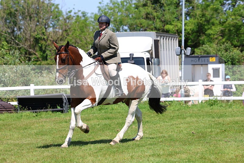 3E7A7231 - Class 30: Novice Working Hunter