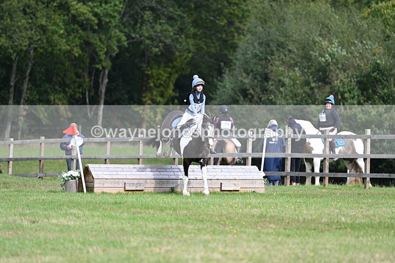 WJ7_8993 - 60cm Time 12:31 to 12:50