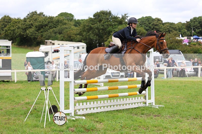 3E7A7130 - Class 5: Senior British Novice/90cm open