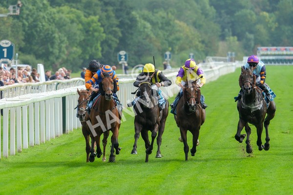 080925-Race 4-Zain Blue-9033 - Race 4 4.00pm Sky Bet Extra Places Middle Distance Handicap