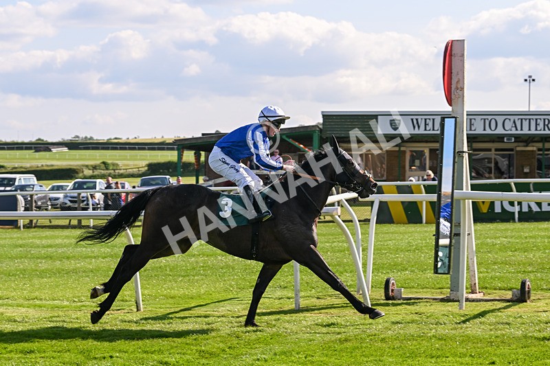 100625-Race 1-Desert Jungle-6386 - Race 1