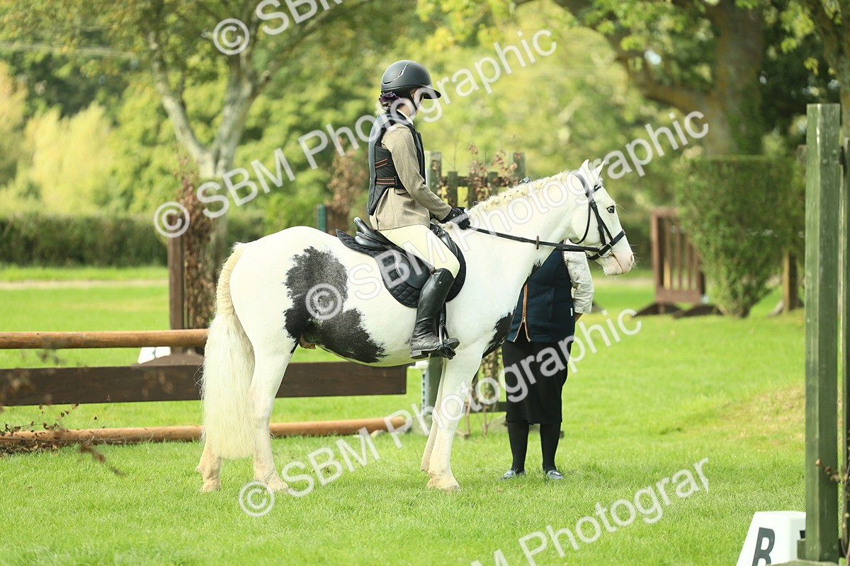 SBM_44693 - S31 - Working Hunter Pony