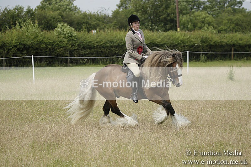 B230619-0461 - Bourne Valley Riding Club Summer Show 23/06/19