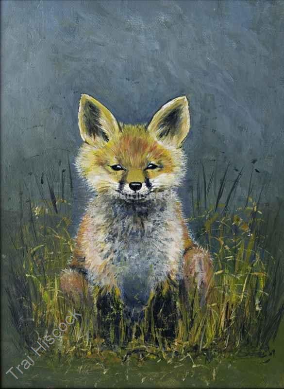 First Venture - Wildlife