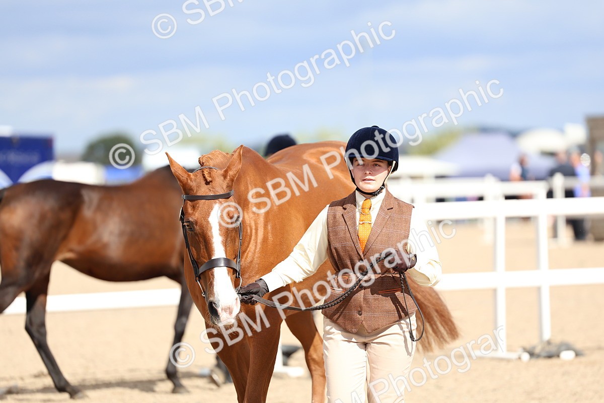 SBM_15432 - Class 312 - IH Competition Horse-Pony