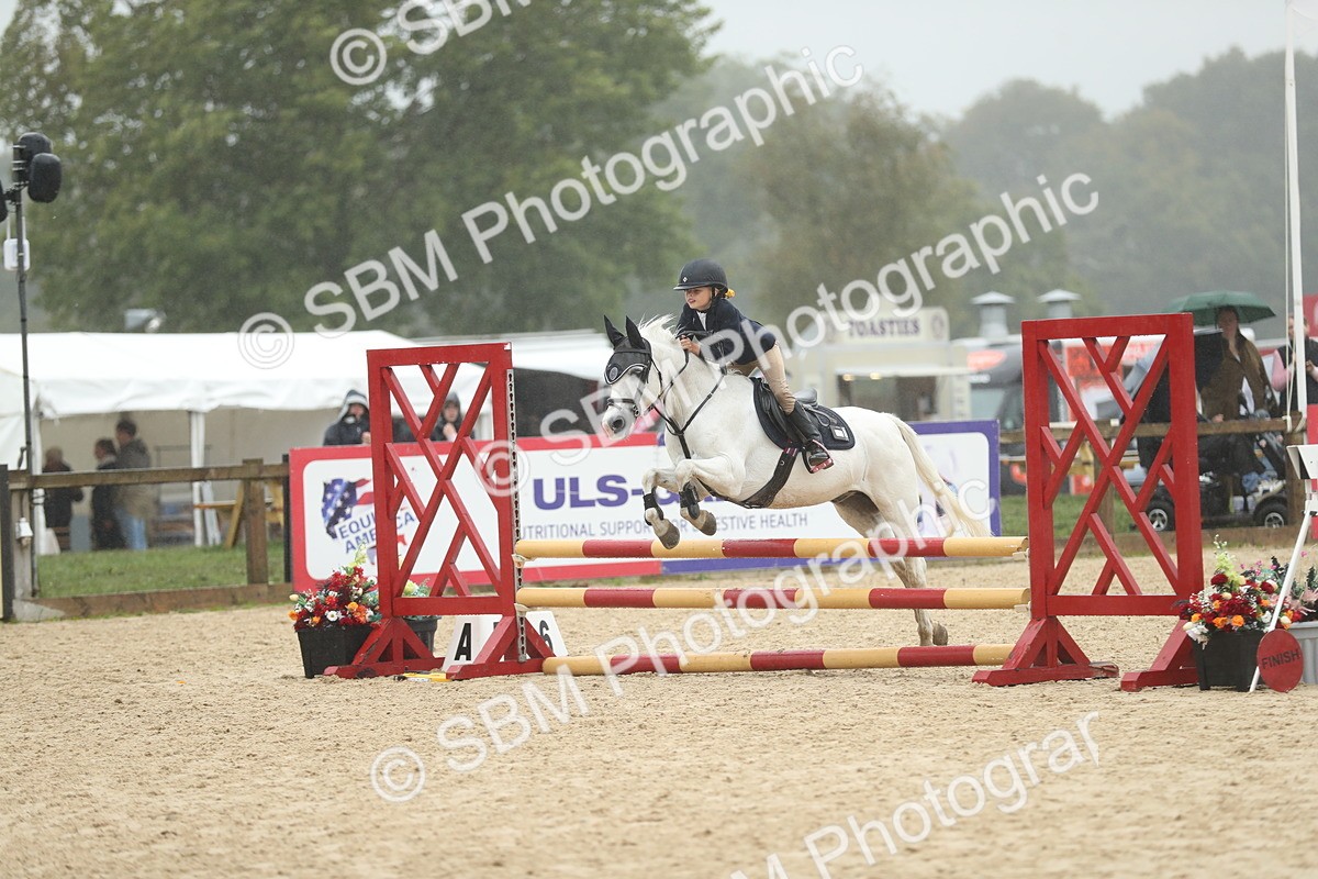 SBM_73992 - J16 - Junior Pony 75cm Championship