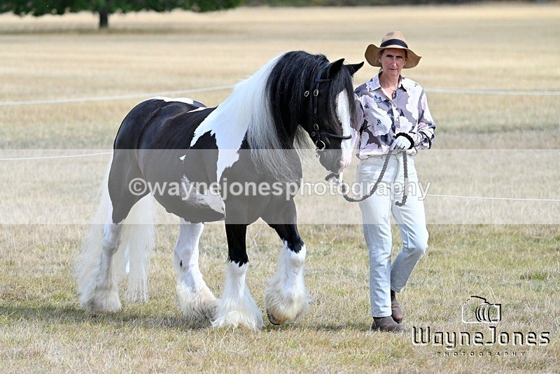 WJ7_8992 - Kellie and Nancy at Swallowfield 31-08-26