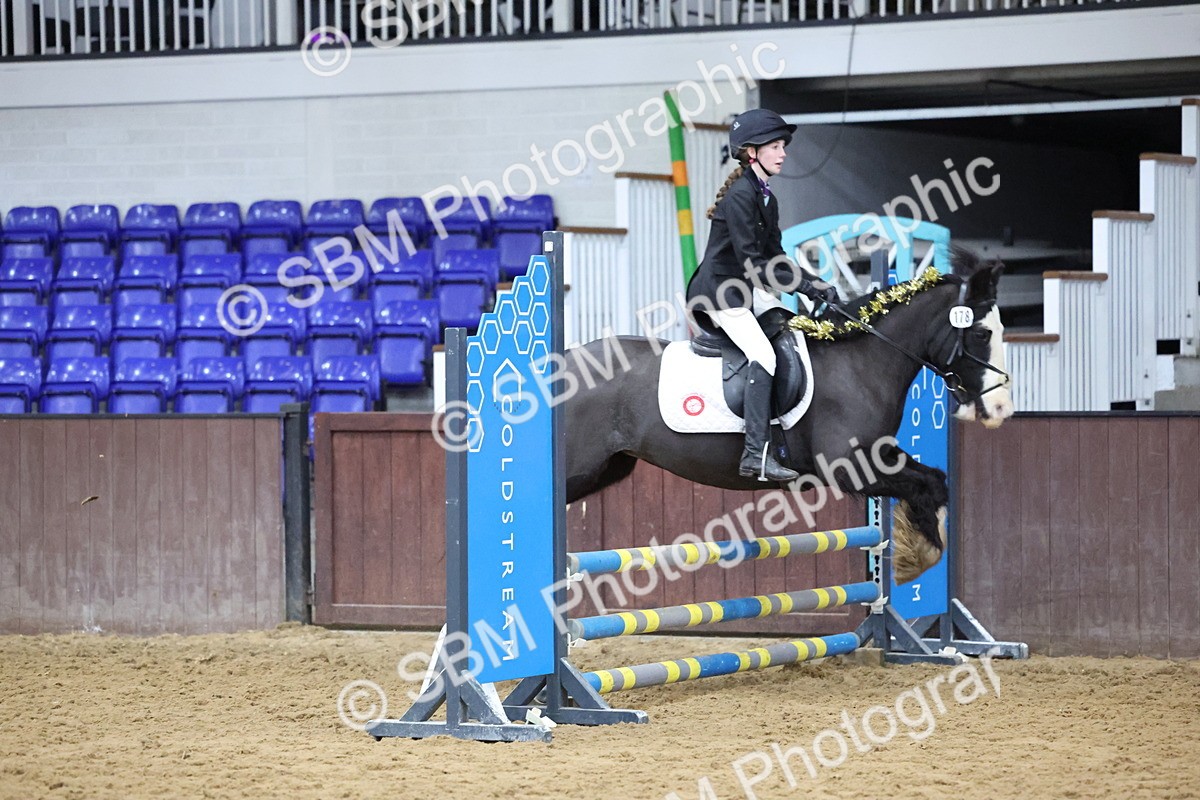 SBM_001128 - Class 3 - Christmas Tree Stakes - 60cm