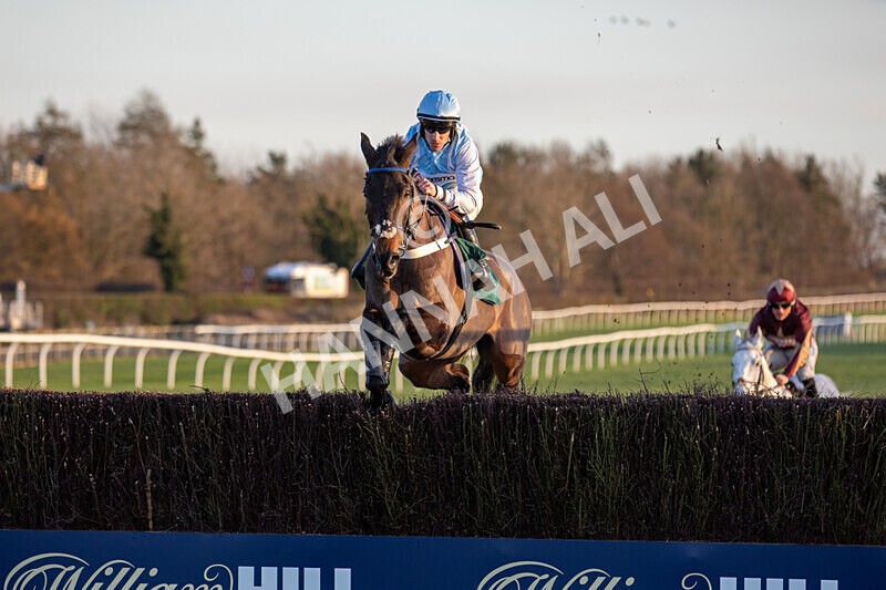 221124-Race 6-Presentandcounting-8617 - Race 6