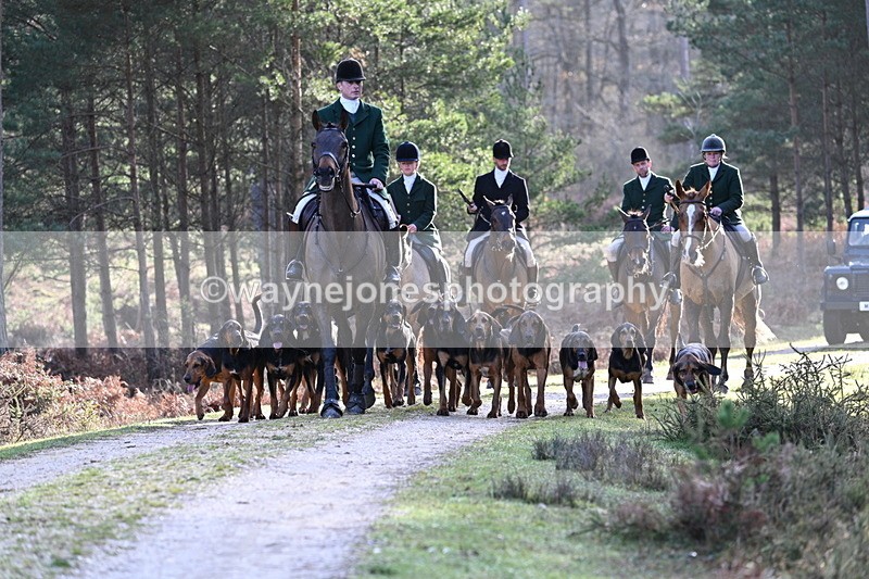 WJ7_7648 - Line 3 (no line 4 or 5)