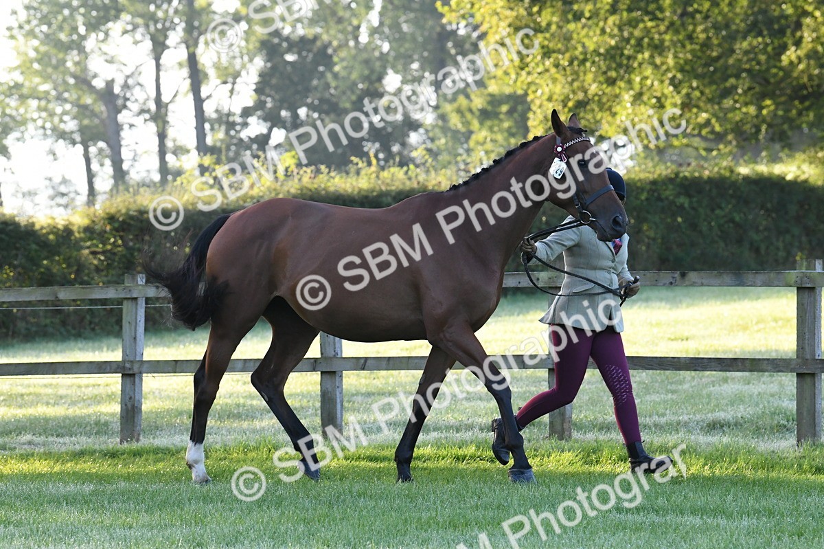 SBM_32528 - S15 - Condition & Turnout In Hand