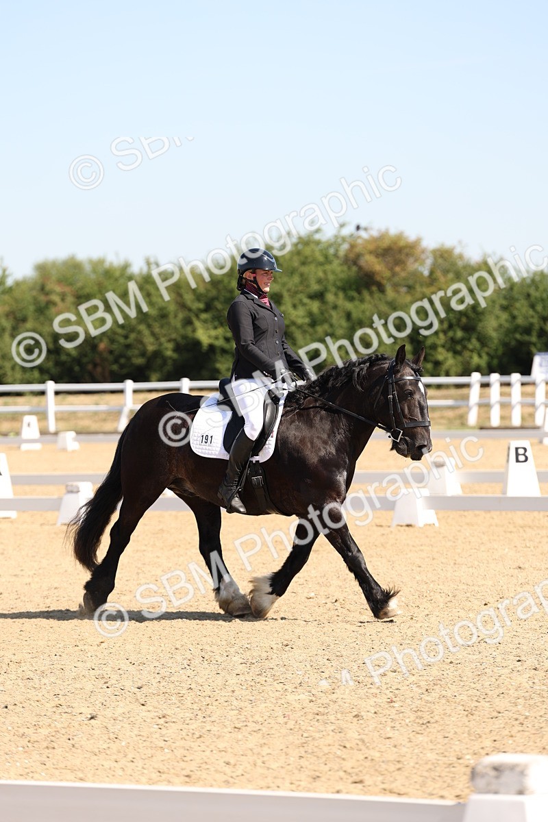 SBM_001046 - Intro 2