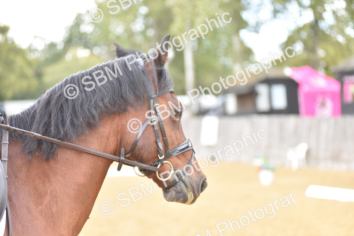 SBM_07806 - D15 - Small Tour Championship Novice 1